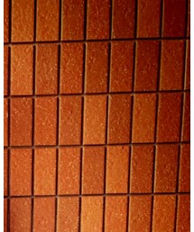 EFFECTOR | メガネ