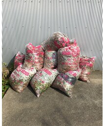 草刈り後 | その他