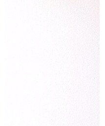 AZUL by moussy | Tシャツ/カットソー