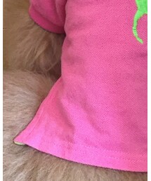 POLO RALPH LAUREN | ポロシャツ