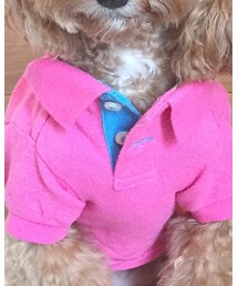 POLO RALPH LAUREN | ポロシャツ