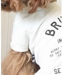louis dogの「トップス(Tシャツ/カットソー)」