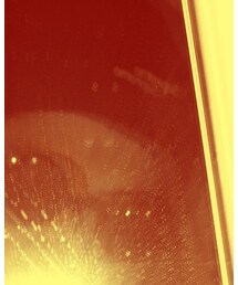 Supreme  | ニットキャップ/ビーニー