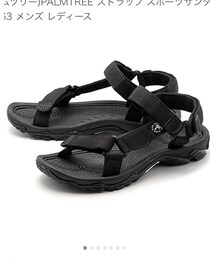 Palm Tree | サンダル
