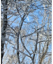 雪景色 | その他