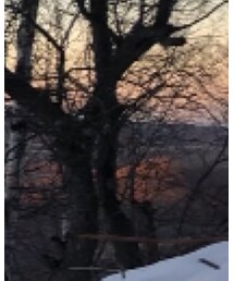 シルエット | その他