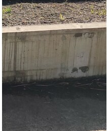 しまむら | ムートンコート