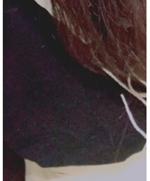 乃木坂46 | Tシャツ/カットソー