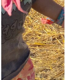 patagonia | パンツ