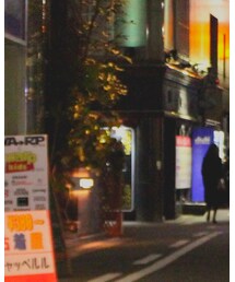 soe | ステンカラーコート