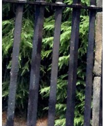 GU | その他パンツ