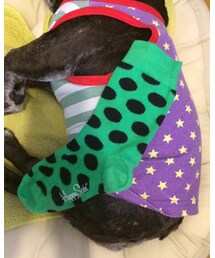 Happy Socks | ソックス/靴下