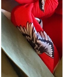 HANAE MORI | ファッション雑貨