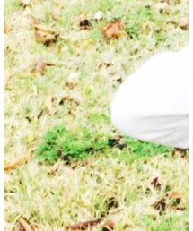 GLOBAL WORK | パーカー