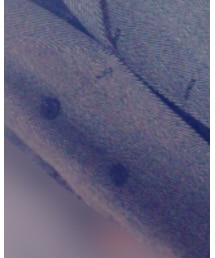 GRL | チェスターコート