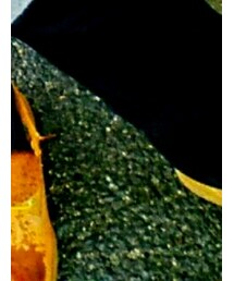 Honeys | その他パンツ