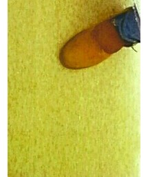 H&M | デニムパンツ