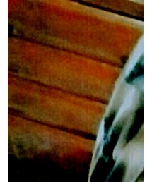 古着 | ポロシャツ