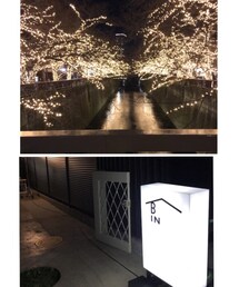 イルミネーション/BIN | その他