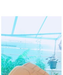 鲷鱼烧 | ウィッグ