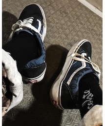 VANS | スニーカー