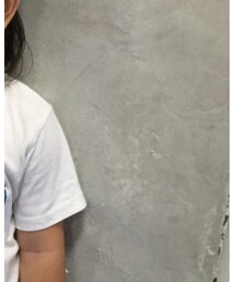 STUSSY | Tシャツ/カットソー