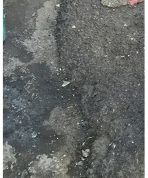 Timberland | シューズ