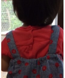 PETIT BATEAU | Tシャツ/カットソー