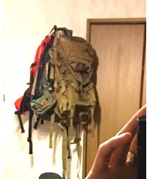 GREGORY | バックパック/リュック