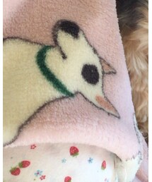 ♡ | ブランケット