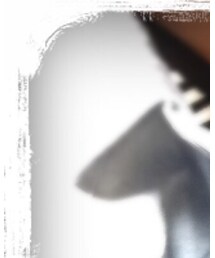 AZUL by moussy | トップス