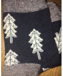 その他 | もみの木ソックス(ソックス/靴下)