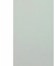 FOREVER 21 | スカート