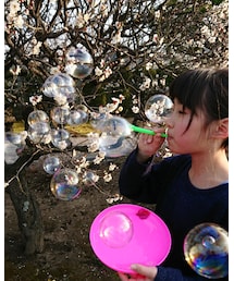 梅の花とシャボン玉✨ | その他
