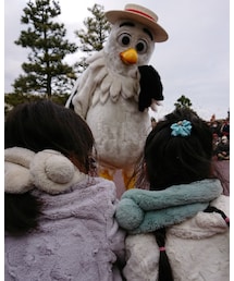 鳥がこっち見た💦 | その他