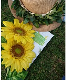 ap bank fes2018 | その他