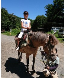 乗馬も🐴 | その他