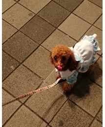 かわいすぎる❗ | その他