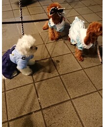 わちゃわちゃ❤️ | その他