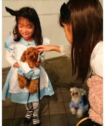 戸惑う💦 | その他