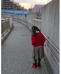 地味。。 | その他