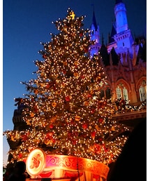 ツリー🎄✨ | その他