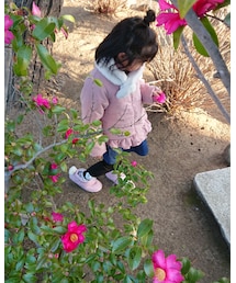 椿の花びら拾い | その他