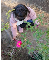 別カット | その他