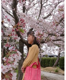 桜に囲まれて | その他