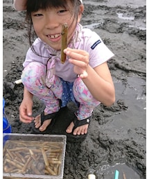 マテガイ大漁 | その他