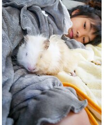 モルちゃん♡ | その他