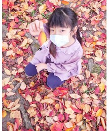 落ち葉拾い | その他