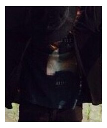 凛として時雨 バンドT | TK from 凛として時雨 バンドT
(Tシャツ/カットソー)