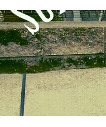 Galdia | ワンピース/ドレス